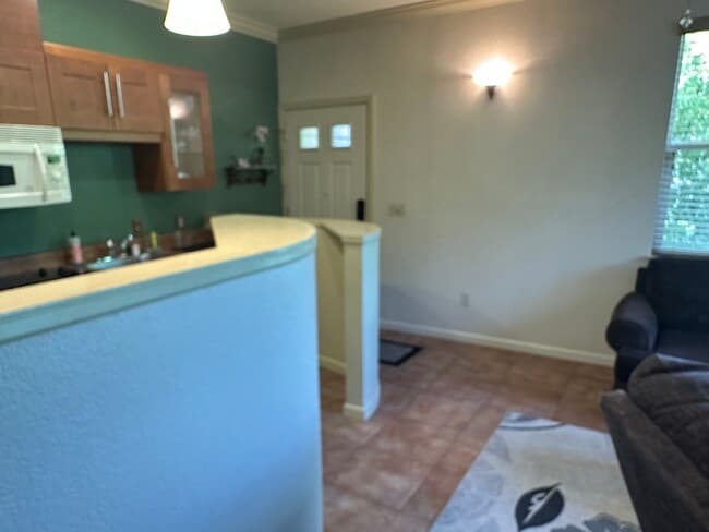 1919 4th St, Unit Downtown Treehouse