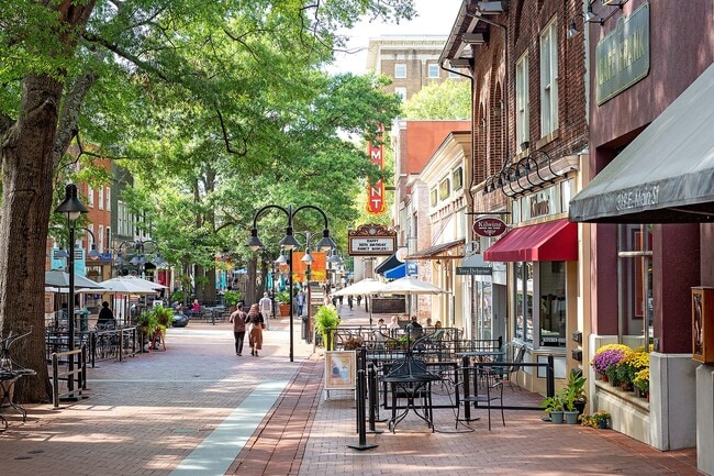 313 E Main St in Charlottesville, VA - Building Photo - Building Photo
