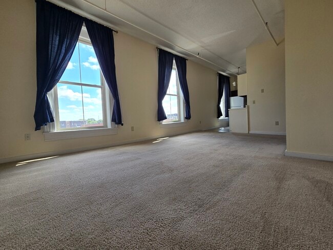 217 2nd St E, Unit 9 in Hastings, MN - Building Photo - Building Photo