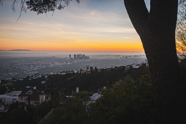 2050 Cyprean Dr in Los Angeles, CA - Foto de edificio - Building Photo
