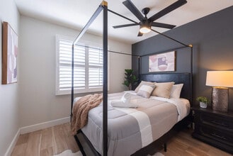 3502 E Crocus Dr in Phoenix, AZ - Foto de edificio - Building Photo