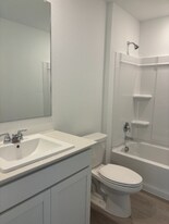 3040 Burmese St in Providence Village, TX - Building Photo