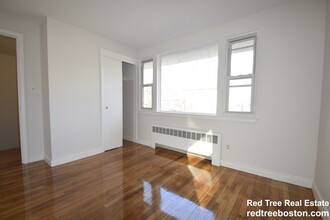 117 Chestnut St, Unit 3 in Brookline, MA - Building Photo - Building Photo