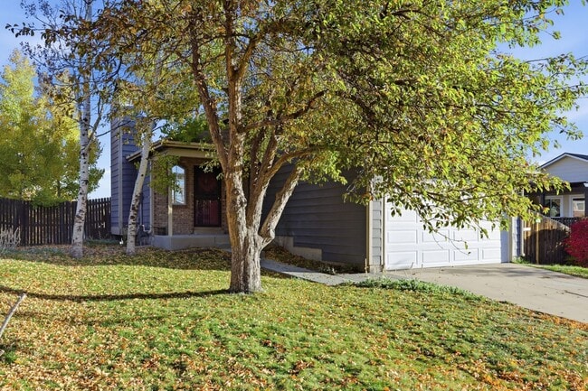 5349 E Howe St in Castle Rock, CO - Building Photo - Building Photo