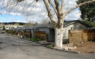 Sonoma Ivy in Santa Rosa, CA - Building Photo