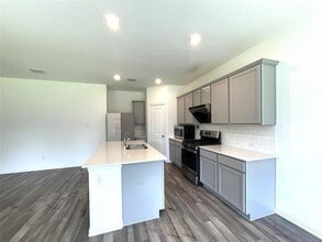 1617 Roadrunner Dr in Little Elm, TX - Building Photo - Building Photo
