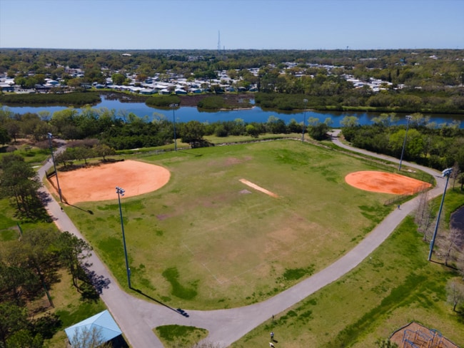 2009 Sheffield Ct in Oldsmar, FL - Building Photo - Building Photo