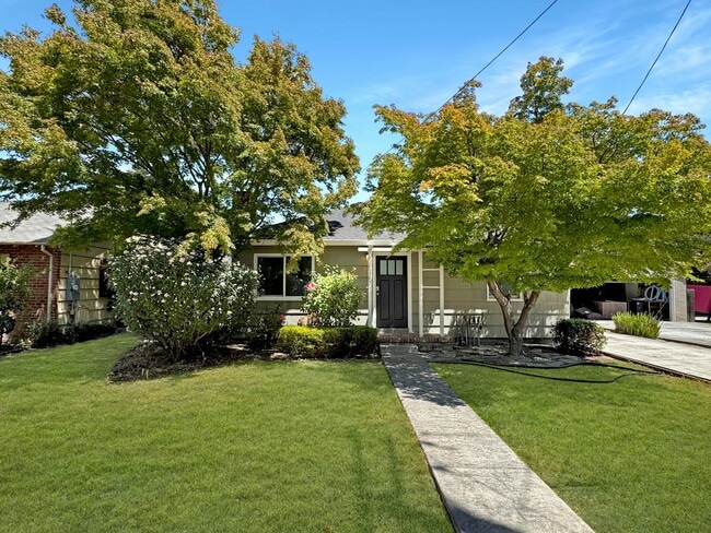 property at 445 Alviso St