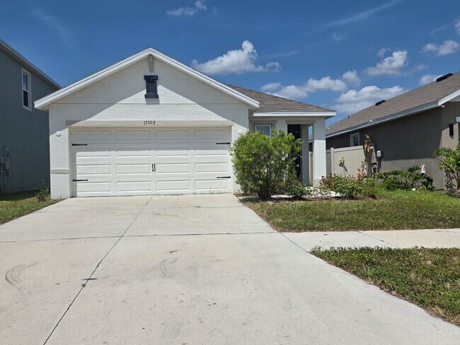 17007 Blister Wing Dr in Wimauma, FL - Building Photo - Building Photo