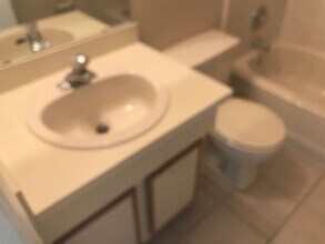 12124 Sand Pebble Way in Orlando, FL - Building Photo - Building Photo
