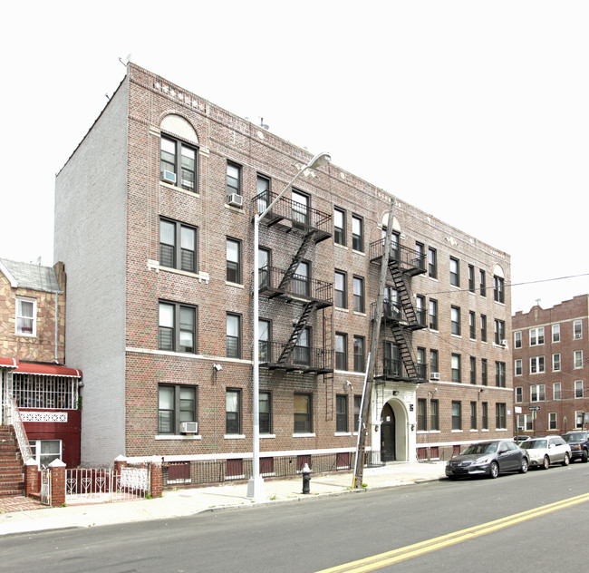 Maple Court in Brooklyn, NY - Foto de edificio - Building Photo