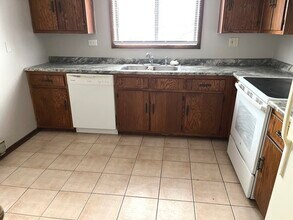 22405 Thomas Dr in Richton Park, IL - Building Photo - Building Photo