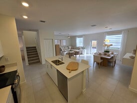 19609 SW 339th Ter in Miami, FL - Building Photo