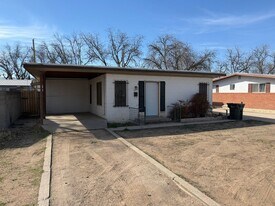 1013 Pate St in Carlsbad, NM - Building Photo