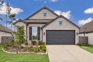 15823 Bird of Paradise Dr in Conroe, TX - Building Photo