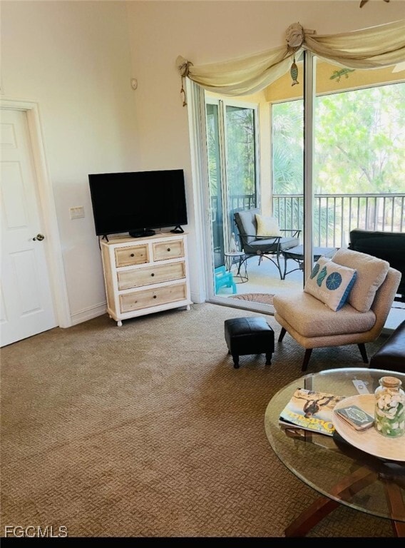 10800 Palazzo Wy in Ft. Myers, FL - Building Photo - Building Photo