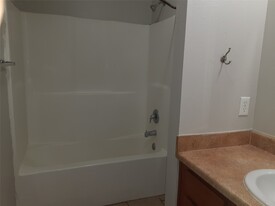 146 S Bend Ct in Willis, TX - Building Photo