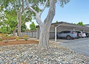 Layne Court Apartments in Palo Alto, CA - Building Photo - Building Photo