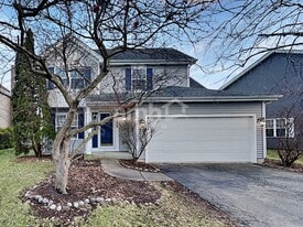 4506 W Riverside Dr in Plainfield, IL - Building Photo