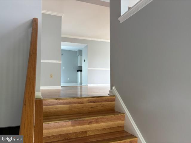 3744 Swetland Dr in Doylestown, PA - Building Photo