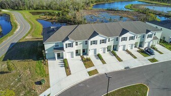 11450 Crescent Deer Dr in Land O Lakes, FL - Building Photo