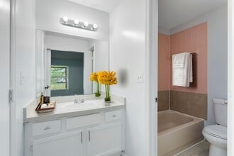 372 Cocoa Ct in Kissimmee, FL - Building Photo - Building Photo