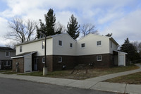 Robertson Court in Ionia, MI - Building Photo - Building Photo