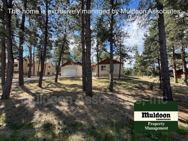 125 Tall Pine Ln in Monument, CO - Foto de edificio - Building Photo