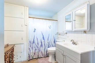 213 N Colorado Ave in Buena Vista, CO - Building Photo - Building Photo