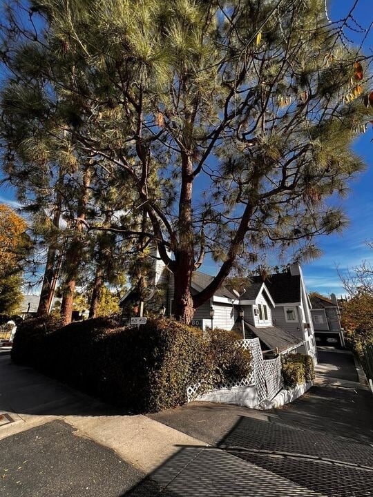 4530 Whitsett Ave in Los Angeles, CA - Foto de edificio - Building Photo