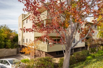 Windwater Mills in Millbrae, CA - Building Photo - Building Photo