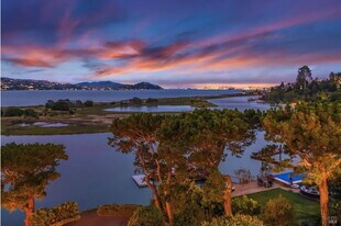 315 E Strawberry Dr in Mill Valley, CA - Building Photo