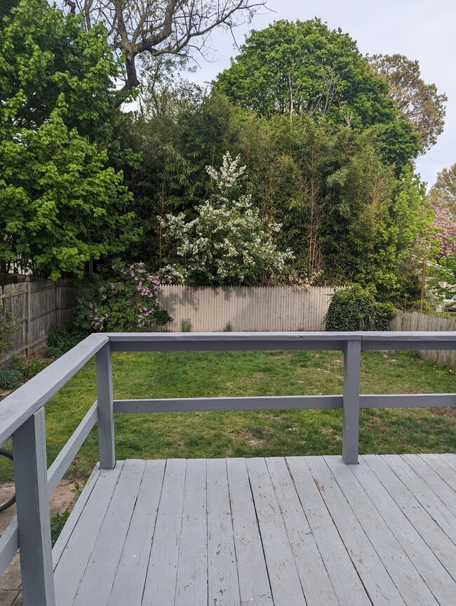 11 Belmont St in Hamden, CT - Foto de edificio - Building Photo