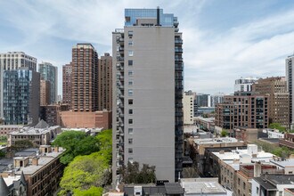 30 E Elm St in Chicago, IL - Building Photo - Building Photo