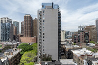 30 E Elm St in Chicago, IL - Building Photo - Building Photo