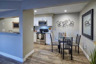 Chandler Meadows Apartments in Chandler, AZ - Building Photo - Building Photo