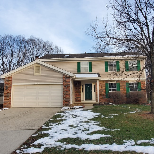 property at 315 High Meadows Village Dr