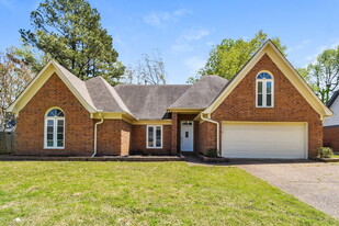 8779 Cherry Spring Dr in Memphis, TN - Building Photo