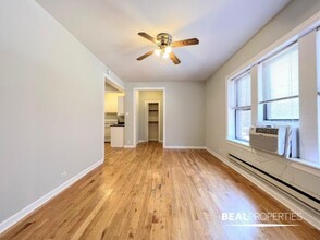 3720.5 N Pine Grove Ave in Chicago, IL - Building Photo - Building Photo