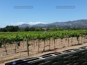 4111 Silverado Trail in Napa, CA - Building Photo - Building Photo