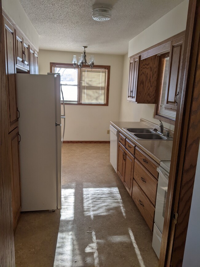 223 Foster St, Unit E3 in River Falls, WI - Building Photo - Building Photo