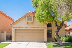 876 N Terrace Rd in Chandler, AZ - Building Photo