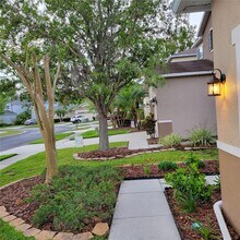26910 Stillbrook Dr in Wesley Chapel, FL - Building Photo - Building Photo