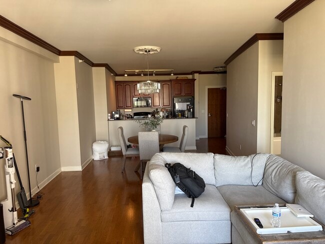233 E 13th St, Unit 1604 in Chicago, IL - Building Photo - Building Photo