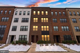 43553 Charitable St in Ashburn, VA - Building Photo - Building Photo
