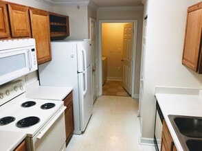 18193 Bridle Club Dr in Tampa, FL - Building Photo - Building Photo