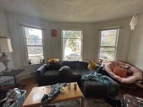 217 N Livingston St in Madison, WI - Building Photo - Building Photo