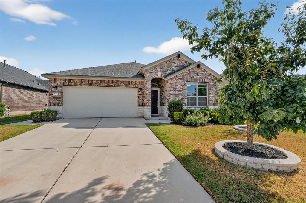 620 Carly Ann Ln in Leander, TX - Building Photo