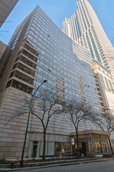 110 E Delaware Pl in Chicago, IL - Building Photo