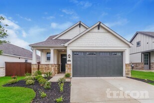 1557 Mexican Heather Dr in Leander, TX - Building Photo